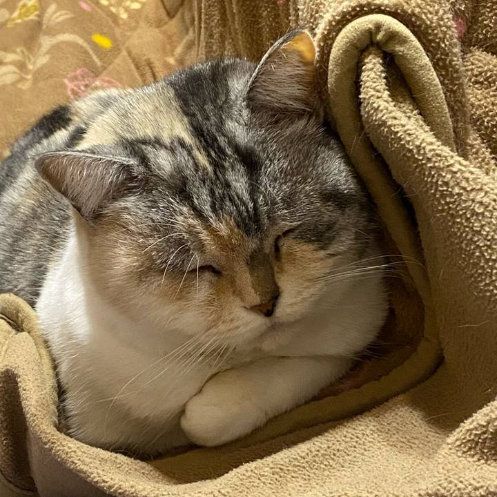 Cfa8ce76 6243 4124 b4d5 af2f6b9c2f17 1673361755979