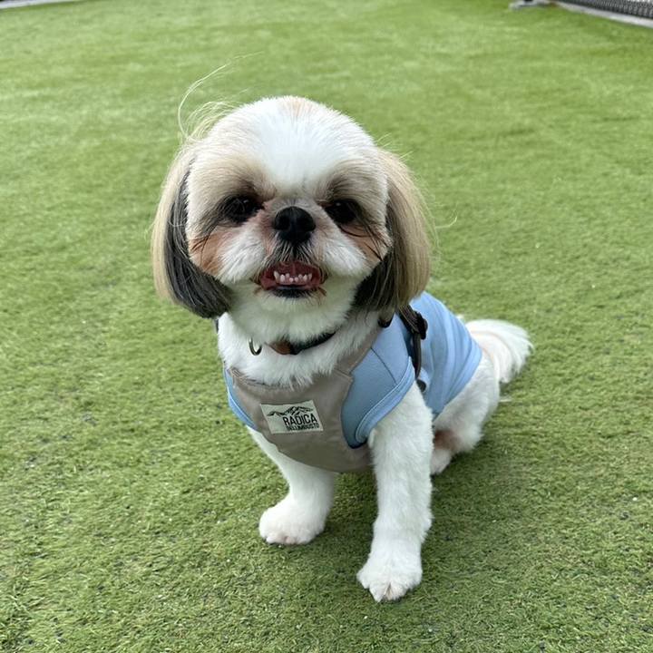 Cfa91fd7 e5f0 450a b2b3 9daab17c1841 1688913819877