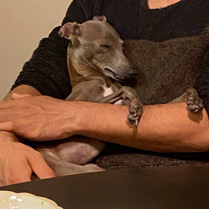 Cfa959f9 a508 4276 b117 6c1b9be1215e 1765448789752