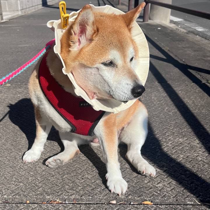 Cfa96784 d507 4ce9 997a 6e2dee5f28c1 1704591147589