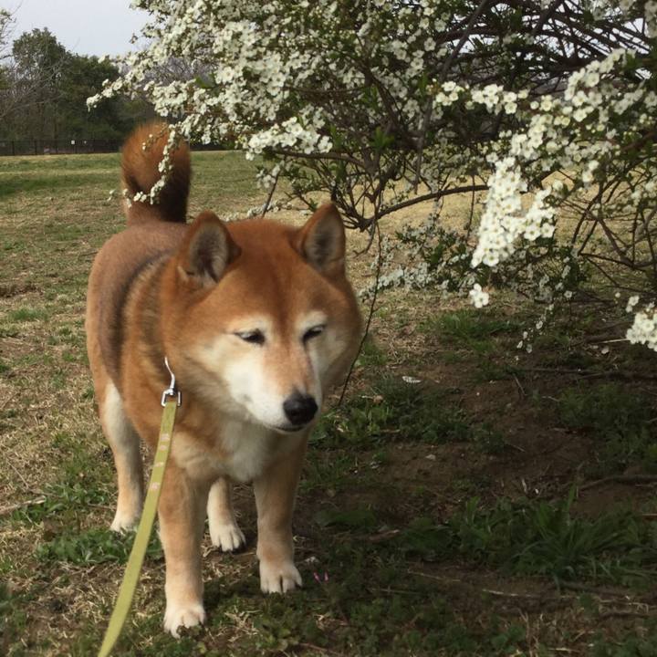 Cfa96e3a 6f1d 4cd6 bd7b 16587e47fc91 1615539089011