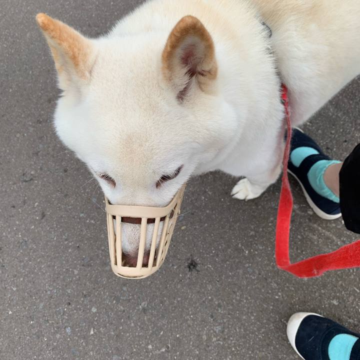 Cfa97766 1690 4aa8 82b5 054ddf58f4ee 1599253320083