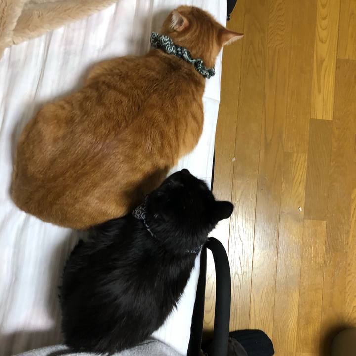 Cfa9b5a8 79f6 4791 8ad5 3807789b40f3 1580811144872