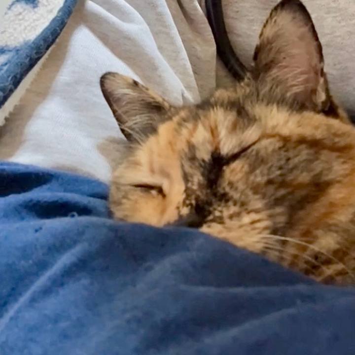 Cfa9d2b1 1f41 4752 a159 998877bd6297 1768138262432