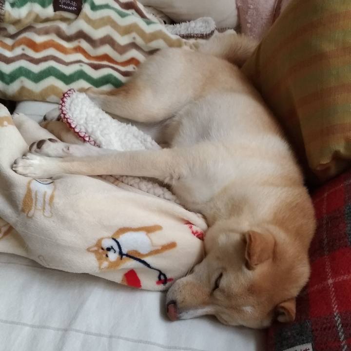 Cfa9fa13 9b25 4e12 88eb c5a761acb844 1538546173429