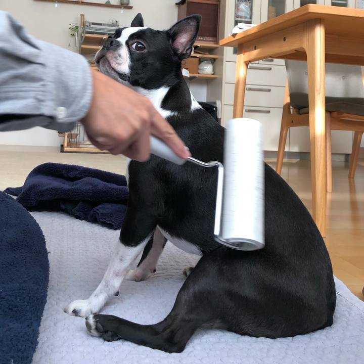 Cfa9fe4c b079 4b36 8839 228225e04e67 1540423083083