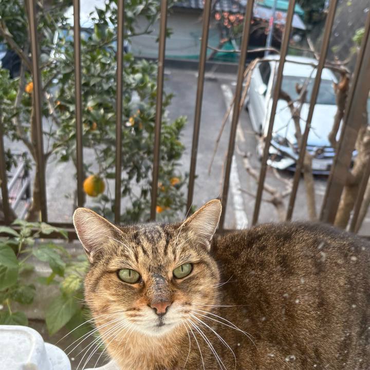 Cfaa0cb6 1c9f 4c36 95bf 91b07f940e4a 1765582116771