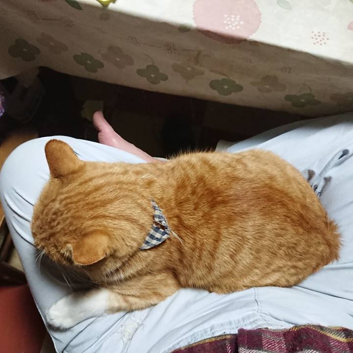 Cfaaa52f 23d5 47d1 9c47 3a6a091db0df 1574242301906