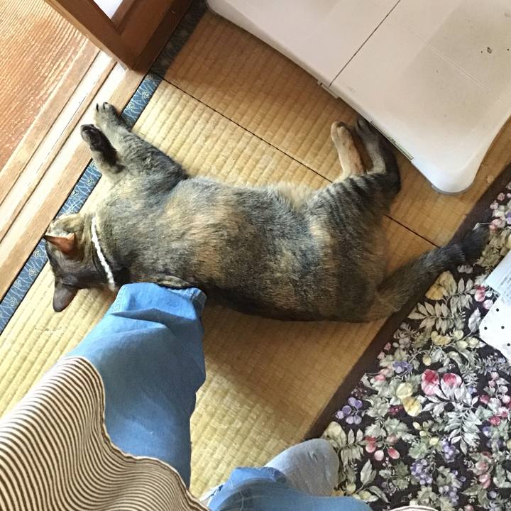 Cfaaa854 308e 44f9 976a 9ffcc29e6f63 1647324476332