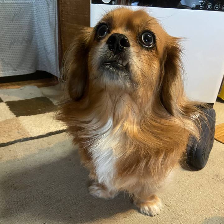 Cfaaaec3 7045 4550 a6a8 c9a9ae8716c5 1668550195486