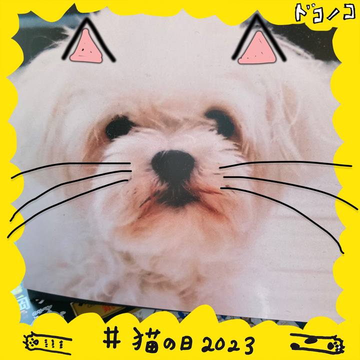 Cfaafc0f b82e 467f 9e55 da35ca68e250 1677021336826