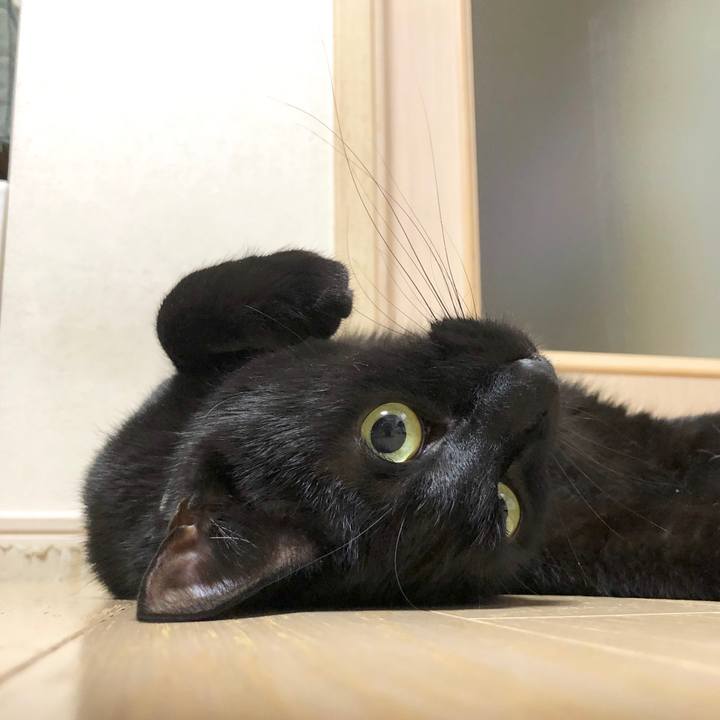 Cfab2ace a11d 4a5a 9d48 5f96f2597533 1588080242300