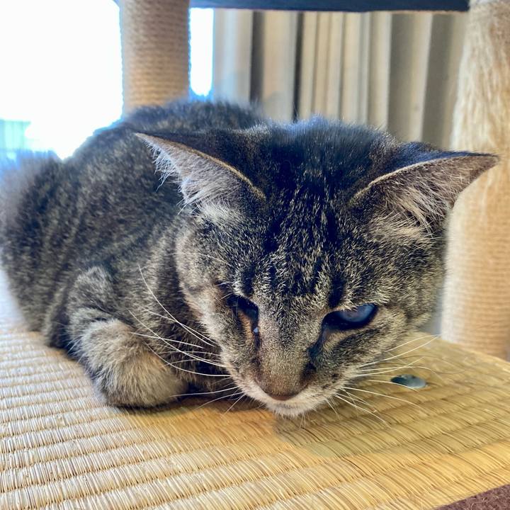 Cfab40fa 9286 47b1 8979 f1e85def1ae4 1677453448960