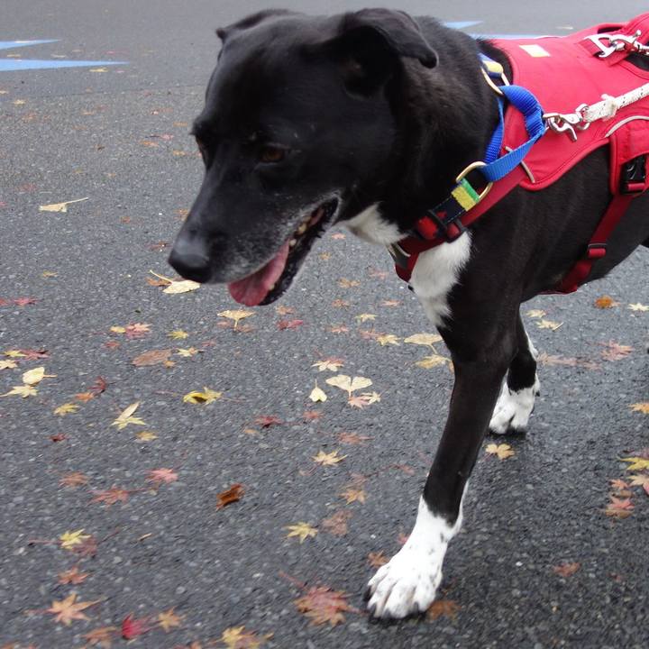 Cfab45bc 60dd 4e7a 8d62 95f30816c714 1669768927374