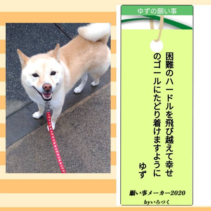 Cfab55f6 604e 41e2 8d2b db0a1b5f405c 1594122664317