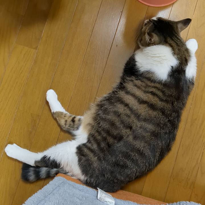 Cfab5ab0 bf97 4f33 aa9a 94357f22e0c7 1681260744284