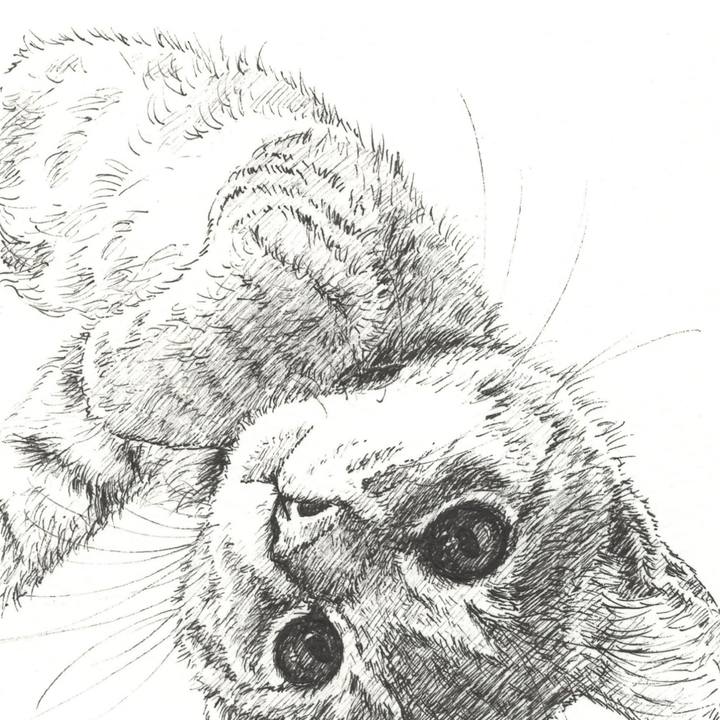 Cfab5bf0 7339 4221 ad04 b6e133553e57 1573306174608