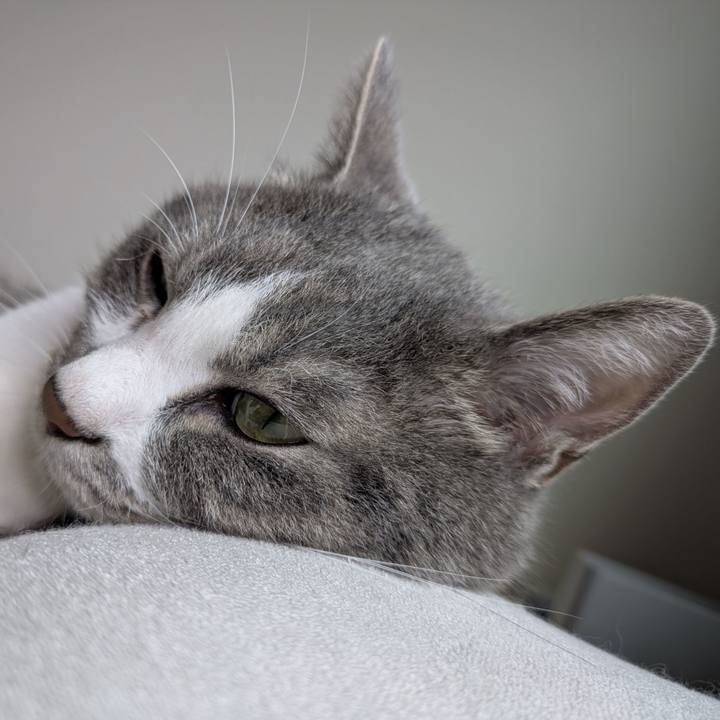 Cfab650e 501b 42a7 acef 6abb11e83c25 1752284630037