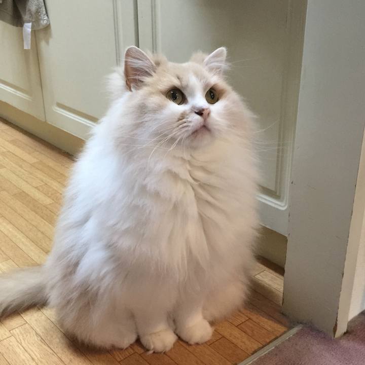 Cfaba5d0 7af8 4db1 a161 422c13ef3472 1543487868631