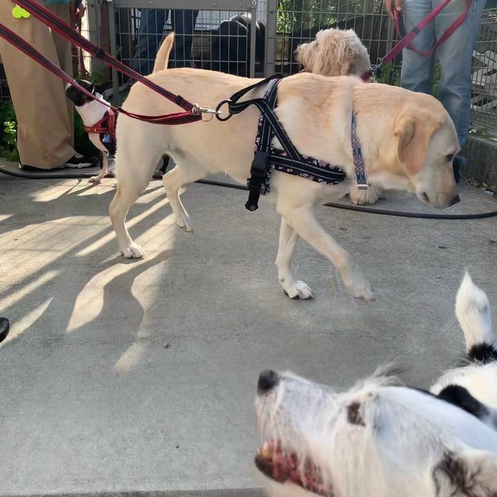 Cfabf78b 9b93 408d a172 73dd5e202778 1728690721175