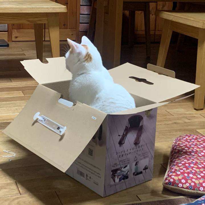 Cfac6b65 76b8 40bc 9ff5 fa19cccf88c6 1582465287330