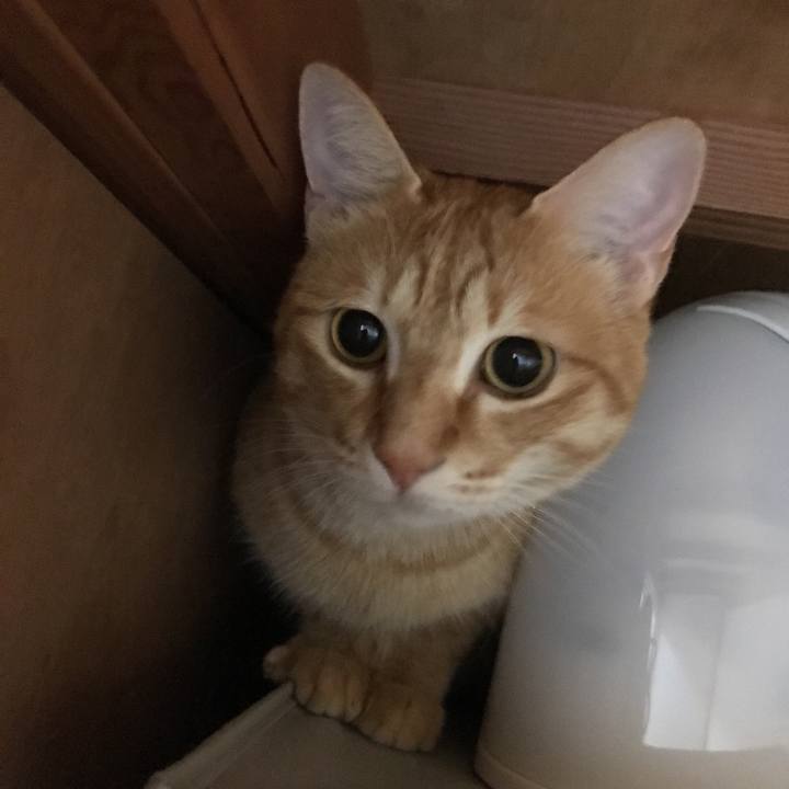 Cfac6b97 032e 4454 84e3 bee7de924a71 1529758805642