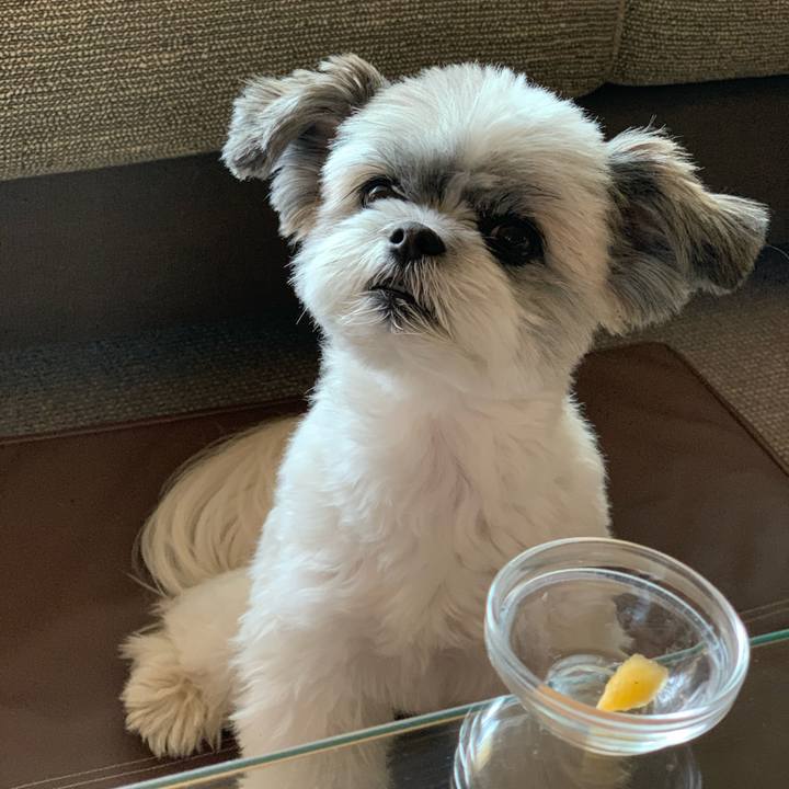 Cfac8fd1 94a5 4b40 ab4a 6be1be3424cb 1573117572293