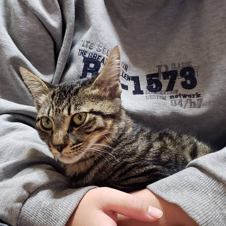 Cfac984b 1b77 49a8 bb65 c89d273c4be4 1542235277575