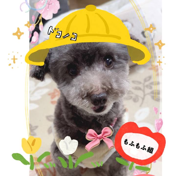 Cfaca306 ebfa 4dc7 aded a36d6686582b 1712198650656