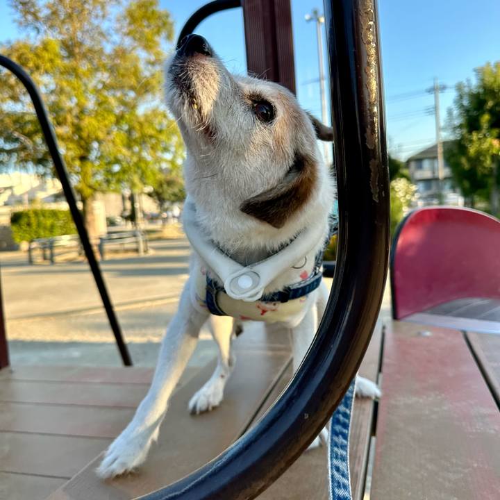 Cfaca9dd 640d 40d1 a342 c515699a3724 1756868103889