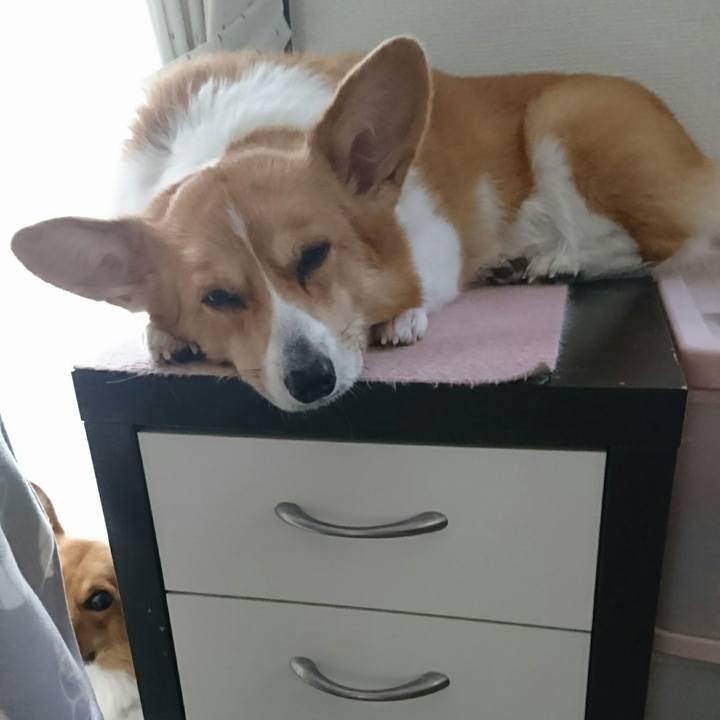 Cfacb9d4 66c0 49ac 8f6e 4728fa250cc1 1516506587504