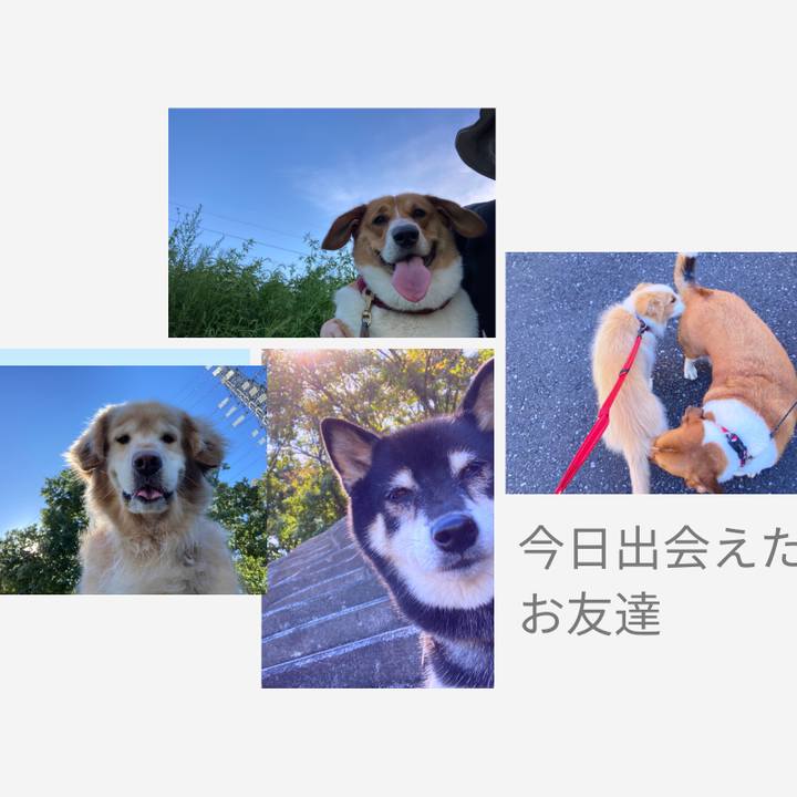 Cfacc153 26e6 48b2 b634 e11681ec8883 1666767134395