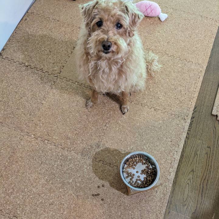 Cfacd14a 738a 4d49 98ea 9994bb5a0ca2 1718141971105