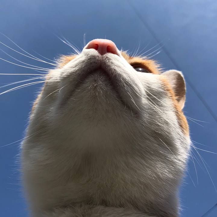 Cface84e 8848 4f03 880f f29f6313f7cc 1552970919170