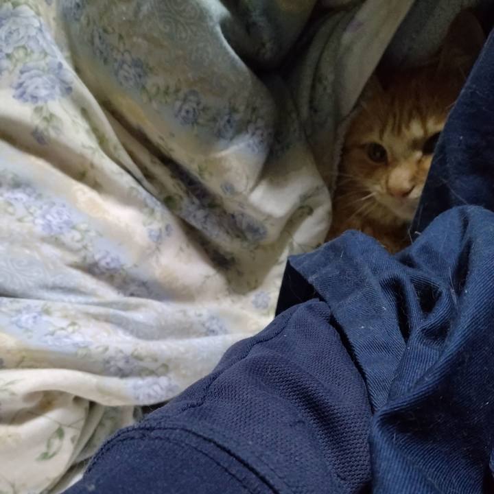 Cfad022b 7e5a 4a8f a4d9 872b46a51769 1666993700622