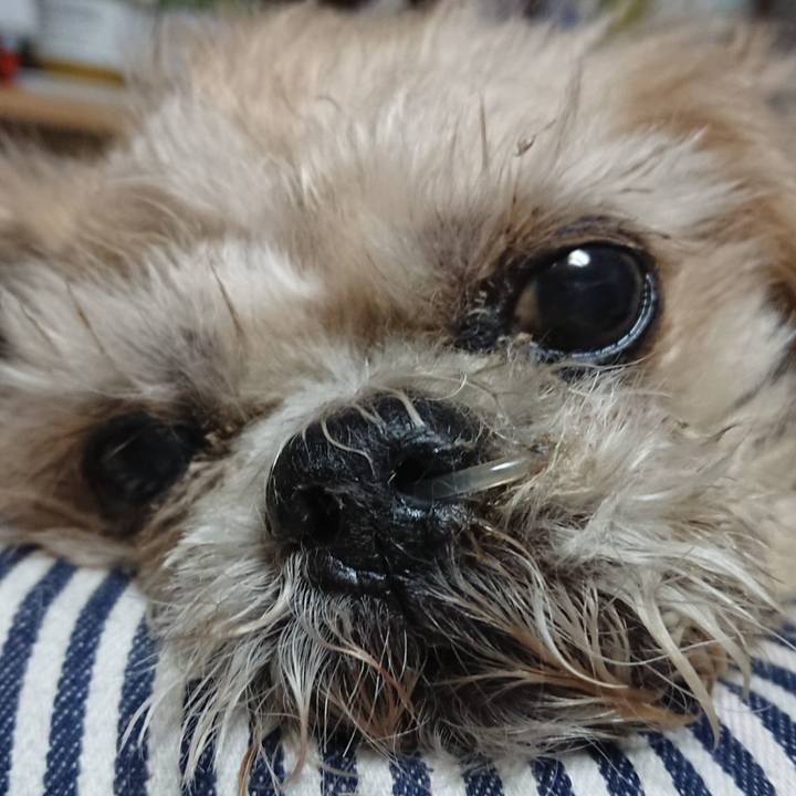 Cfad245d 3986 4b42 99a2 4a57133d4a86 1587596251079