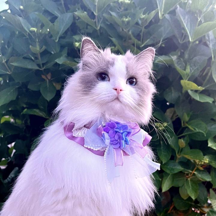 Cfad5710 d8c7 4776 a831 2e063ef4e80c 1685480832129