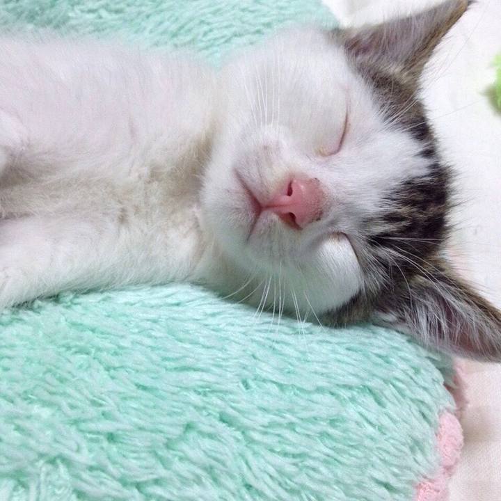 Cfad9471 1338 4fca a3ec 143236522a91 1537576632327