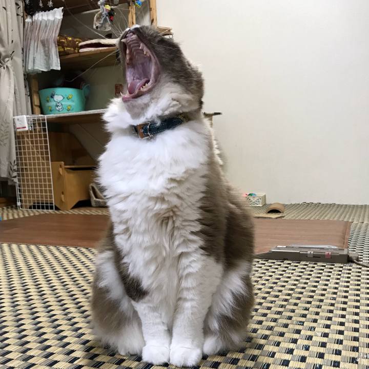 Cfadac22 8d4e 431d 81e1 aa6f72a95d6e 1514294700213