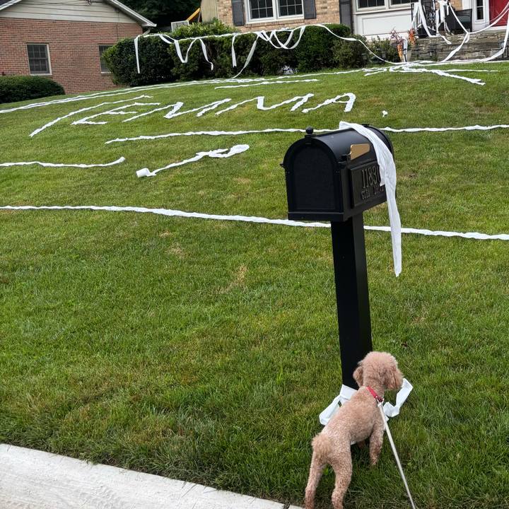 Cfadfebc b7a2 4257 9842 32b94acbc830 1752853127919