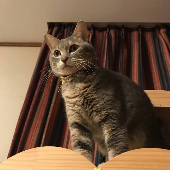 Cfae0116 2e9b 468e 9ee8 35fd69b93a8d 1603231715605