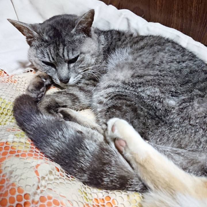 Cfae0d62 3218 427c b5b0 1219bf791854 1591364494442