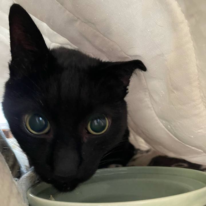 Cfae2313 0b18 4033 b5d6 6d20e4e334e8 1608688333432