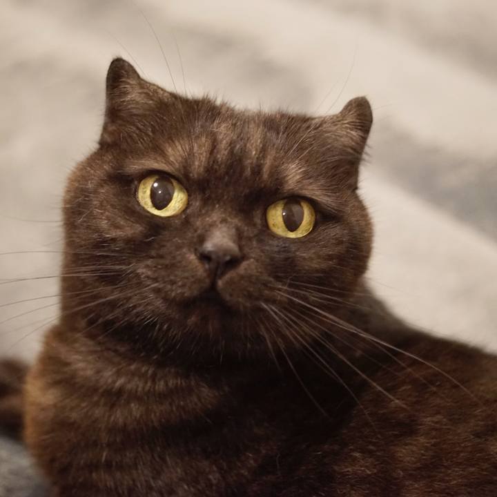 Cfae4ccb a673 416d a53f 14867ac74e98 1562082493647