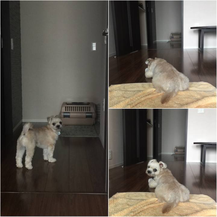 Cfae51e2 001e 4712 862a 327f8d9c354b 1530788783179