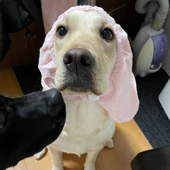 Cfae9c5c 5e60 4e54 90f8 a8e25128512a 1646651522042