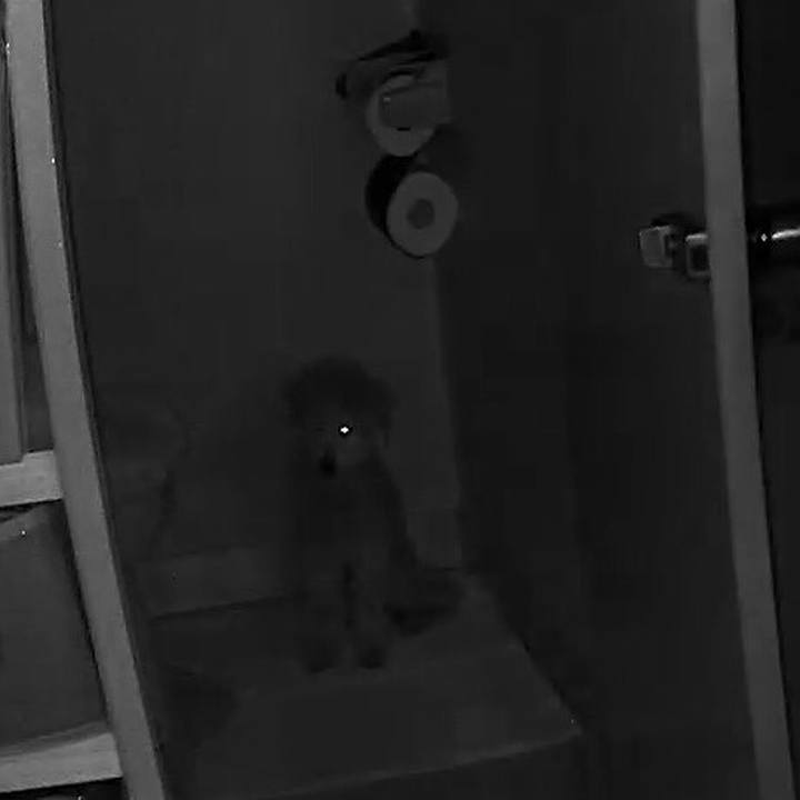 Cfaeb830 6a2c 4701 8ae5 371568edaf86 1587115597817