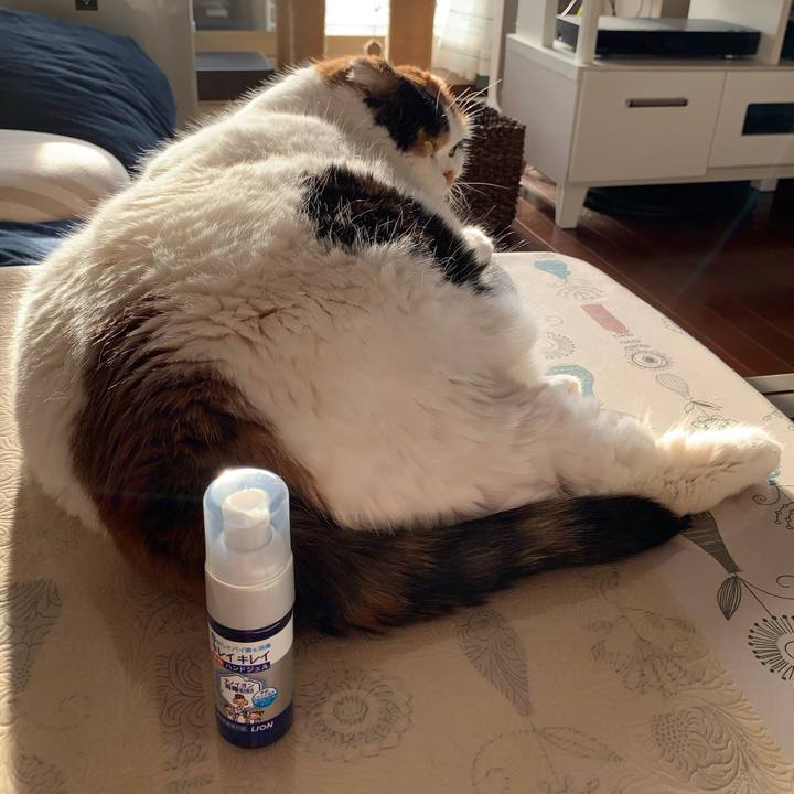 Cfaece13 676d 416a 8bbb 1bcd9ea73616 1581464562347