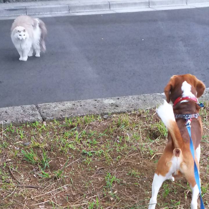 Cfaed926 858a 43cd a460 00c58a6f6ff8 1624878120063