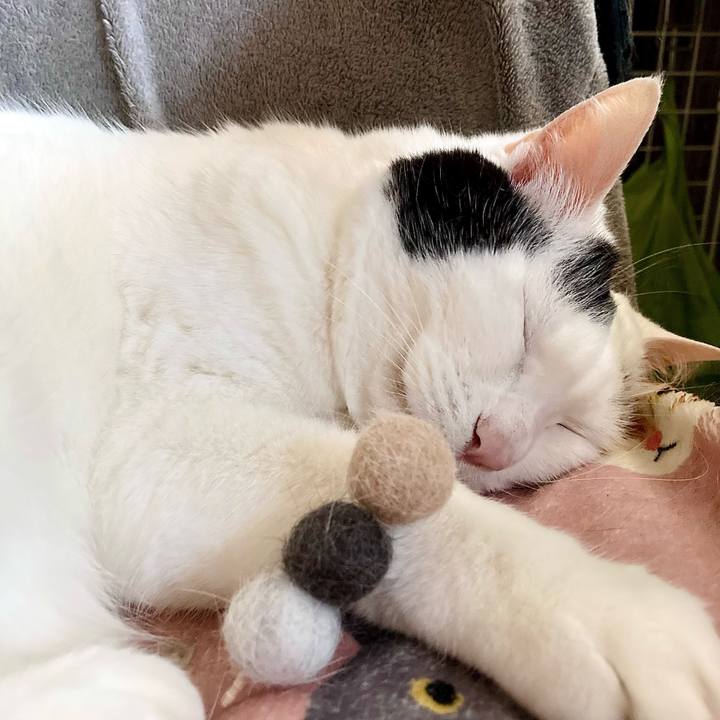 Cfaf1186 8be8 4251 a7e0 3204f9476245 1656132360189